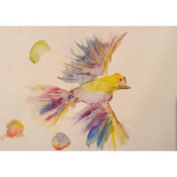 Watercolor bird