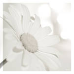 Because you loved me by Sedma