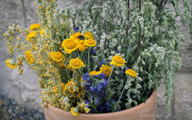 Summer Bouquet