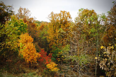 Fall in West Virginia