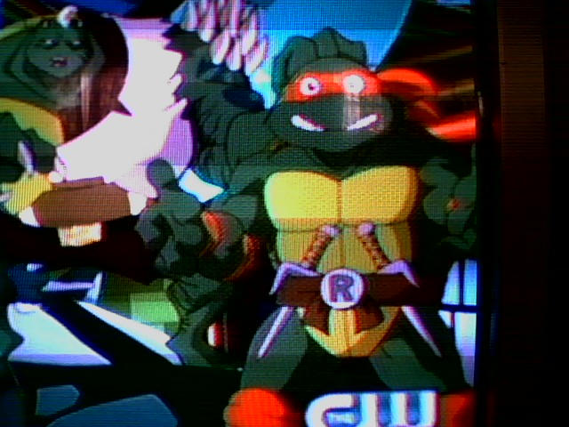 Meatwad Raph Turtle Mutant Turtle Hun with Raph by Mew2fem on DeviantArt