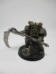 Typhus