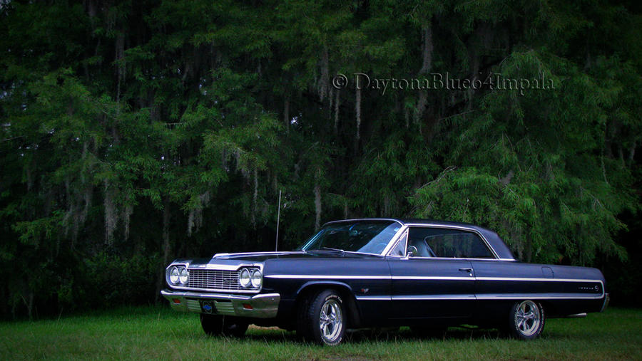 Impala Under Moss