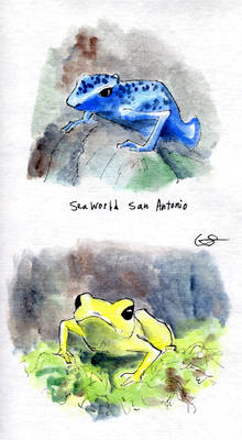 Froggies!