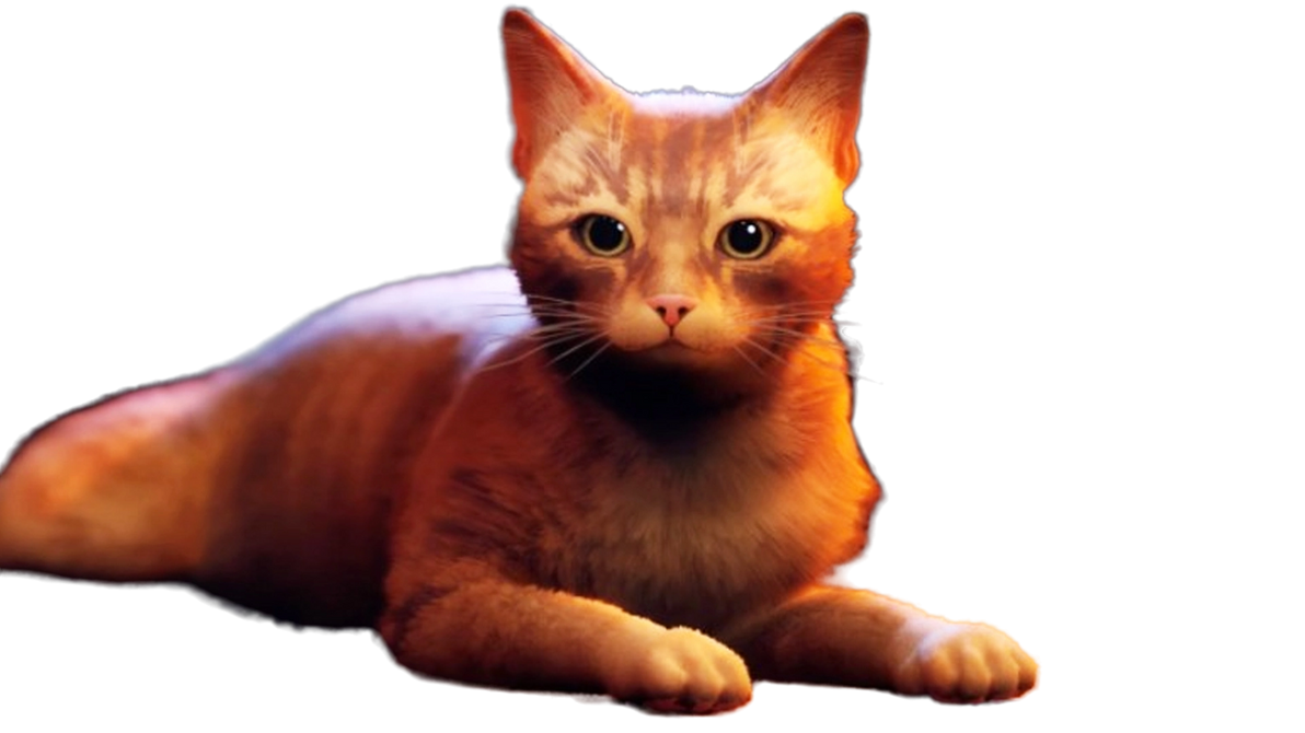 Cats (Render) - Stray by Rubychu96 on DeviantArt
