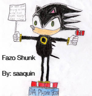 my sonic charater