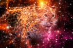 Jaguar Galaxy 090815