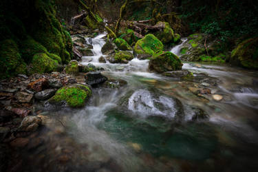 Blue Pool in the Stream