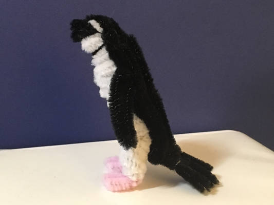 Chinstrap Penguin