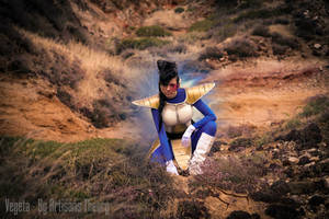 Rule 63 Vegeta