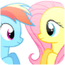 Fluttershy and Rainbow Dash