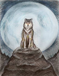 Night And Wolf