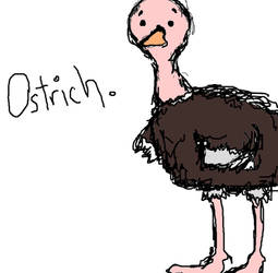 Oliver the Ostrich