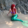 the little mermaid Ariel