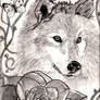 Wolf and Rose