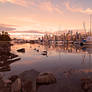 Marina at Low Tide