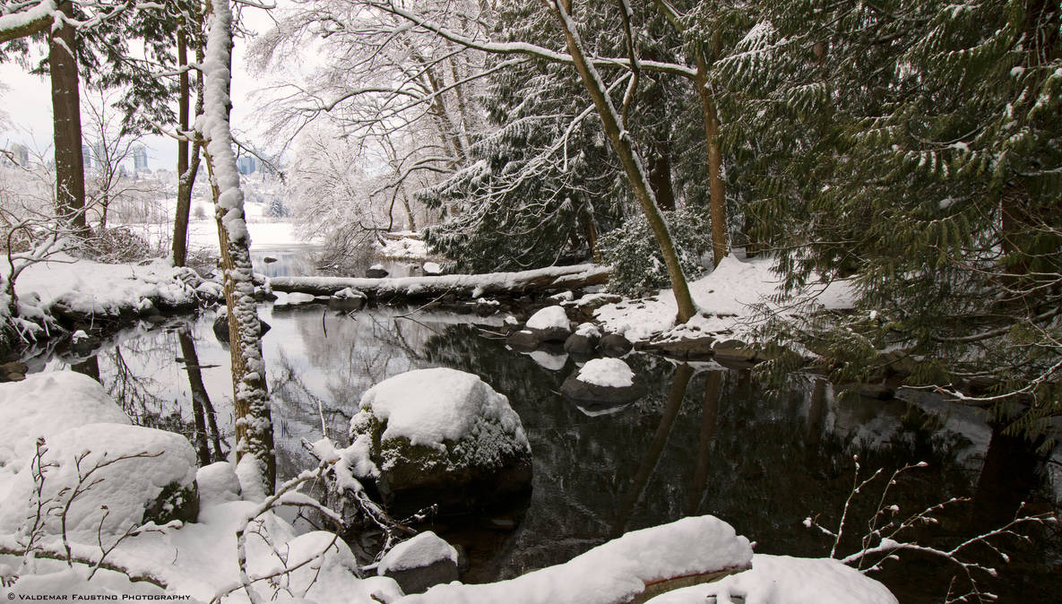 Stillness of Winter by Val-Faustino