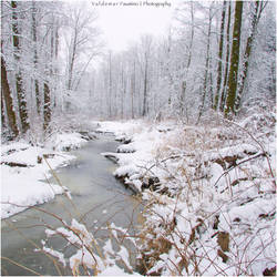 Frozen Creek