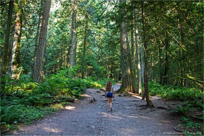 Nature Walk