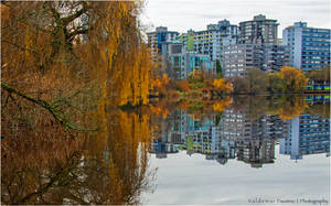 City and Nature II