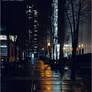 City Lights in the Rain