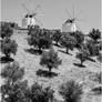Windmills of Odemira