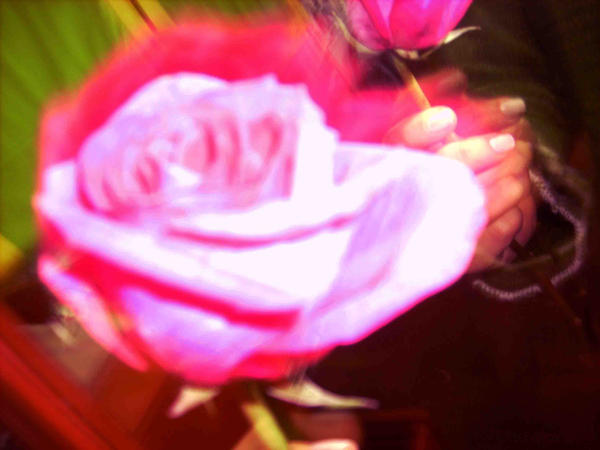 Pink Roses Moving moving rose by nathaliie16nat on DeviantArt