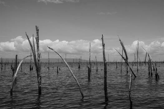 Brokopondo stuwmeer