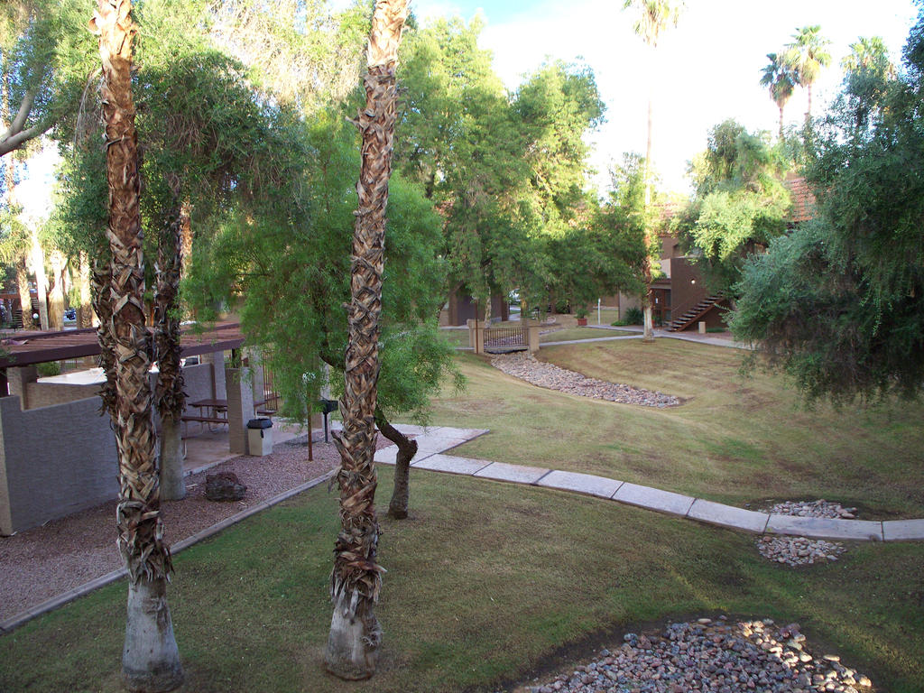 Grand Apartment Courtyard