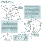 Merloup Info Sheet by LioSKETCH