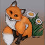 Fox sitting in Daisies Colored