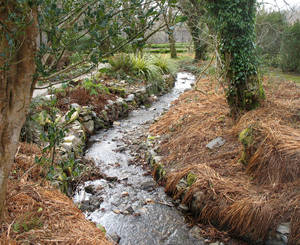 Small Stream