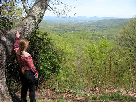 Looking Out on the Mountains