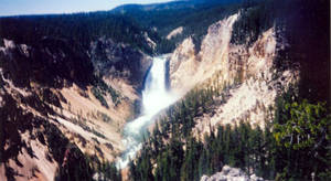 Yellowstone 1