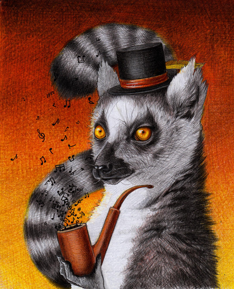A Fine Young Lemur With a Pipe