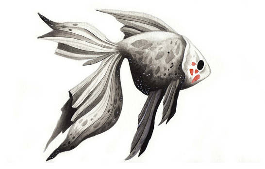 Dark Fish