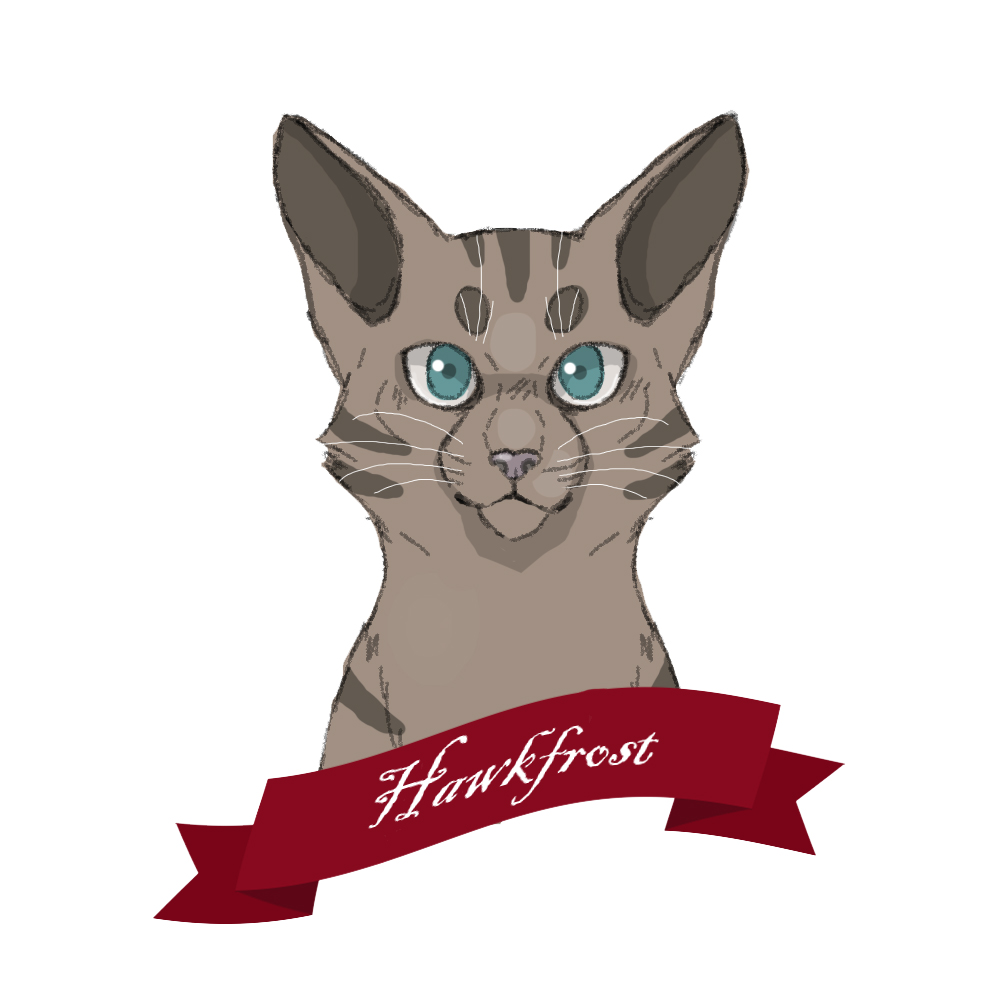 hawkfrost