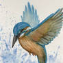 Kingfisher Watercolour Painting Ver.2