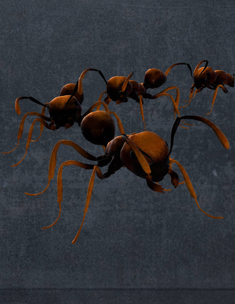 Ant Deviantart ant 4 by NikkelahGhaz on DeviantArt