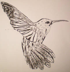 Hummingbird