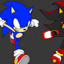 Sonic vs. Shadow