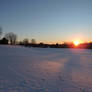 Snow Covered Landscape