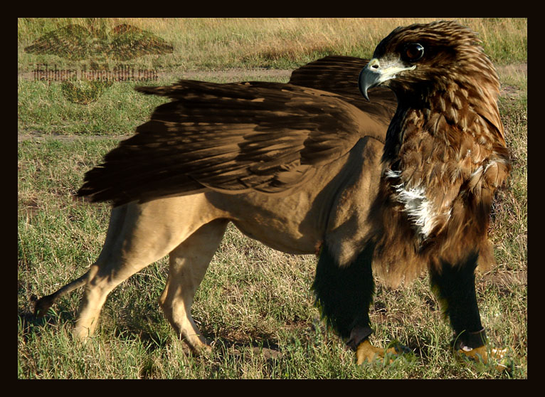 Kino namoyishi paytida jinsiy aloqa Jinsiy pozitsiyalarning turli balandliklari