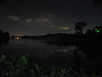 Night Safari Lake in Singapore