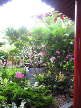 Raining in the temple