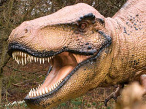 T-Rex head sculpture
