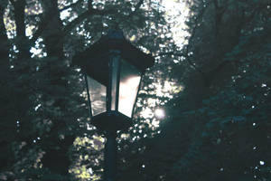 Lantern