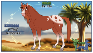 Vegan Lions RP | Aruna the Appaloosa