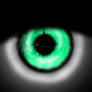 IMVU Green eye texture