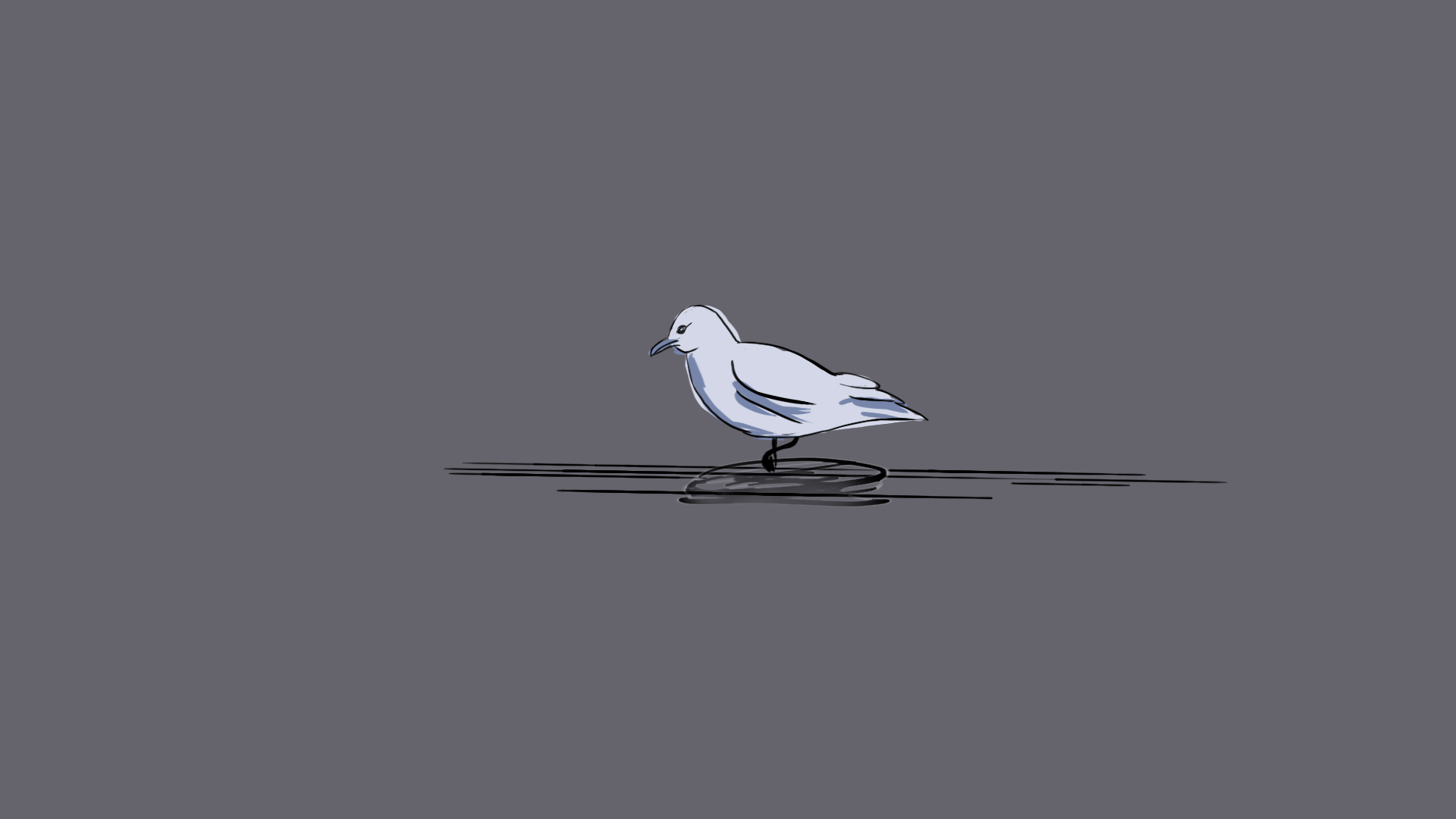 Flying Bird Animation by WarOfMyArt on DeviantArt